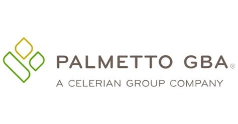 Provider Contact Center 855-696-0705. . Palmetto gbs